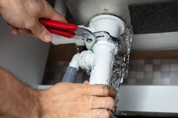 Best Carpet water damage restoration  in Dalton, PA