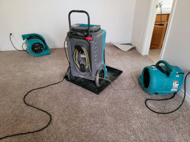 Best Sewage cleanup and water damage restoration  in Dalton, PA