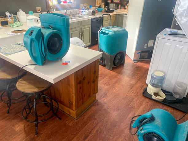  Dalton, PA Water damage restoration Pros