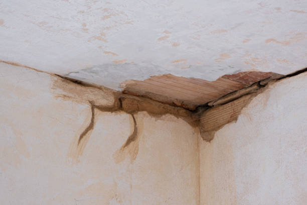 Best 24-hour water damage restoration  in Dalton, PA
