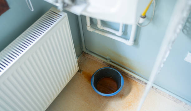 Best Basement water damage restoration  in Dalton, PA