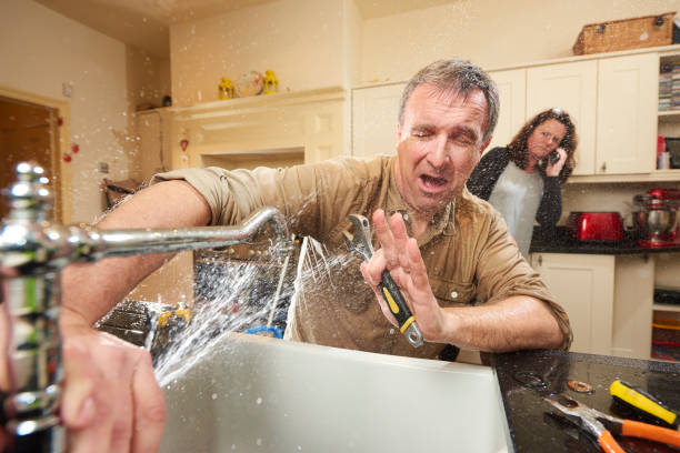 Best Ceiling water damage repair  in Dalton, PA